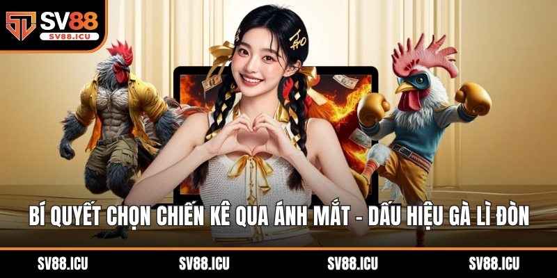 bí quyết chọn chiến kê qua ánh mắt