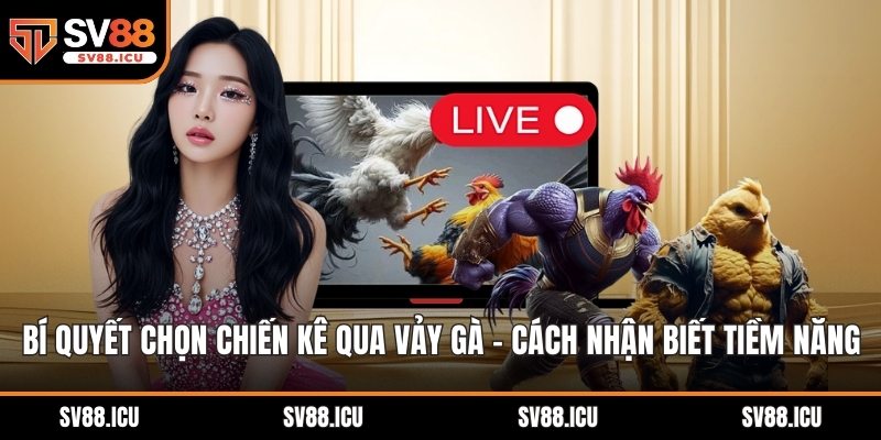 bí quyết chọn chiến kê qua vảy gà