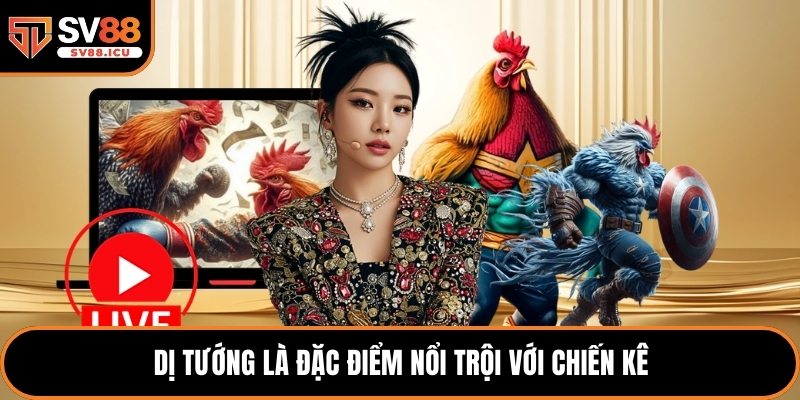 Dị tướng là đặc điểm nổi trội với chiến kê