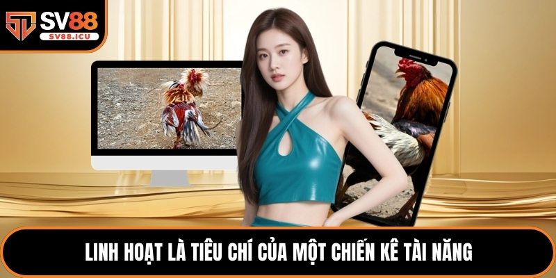Linh hoạt là tiêu chí của một chiến kê tài năng
