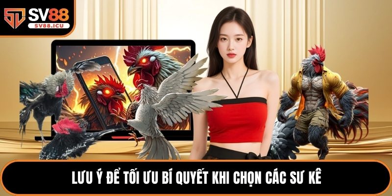 Lưu ý để tối ưu bí quyết khi chọn các sư kê
