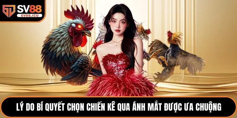 Lý do bí quyết chọn chiến kê qua ánh mắt được ưa chuộng