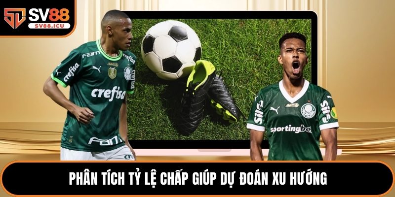 Phân tích tỷ lệ chấp giúp dự đoán xu hướng