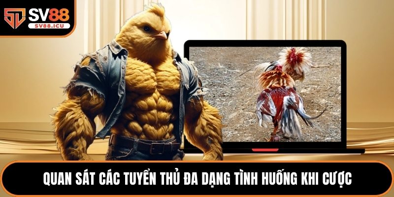 Quan sát các tuyển thủ đa dạng tình huống khi cược